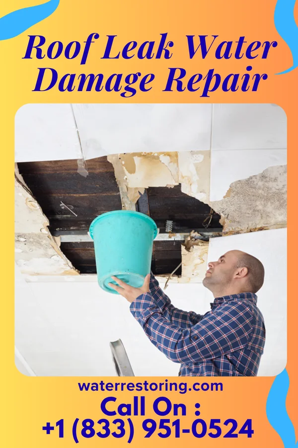 Roof Leak Water Damage Repair in Bowlegs, OK